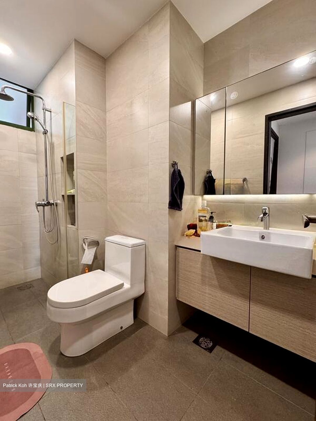 Signature Park (D21), Condominium #525615741